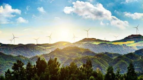 The Urgency of Sustainability: A Call for Companies to Take Action