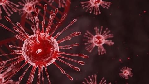 UV Light: A Powerful Tool in the Fight Against Airborne Viruses