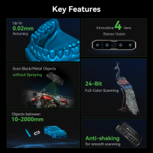 CR-Scan otter-3